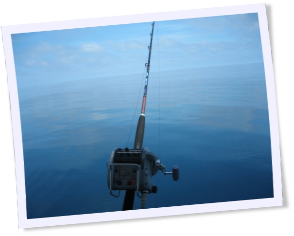 fishing 7 Star