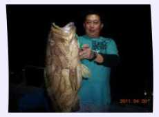 fishing 7 Star